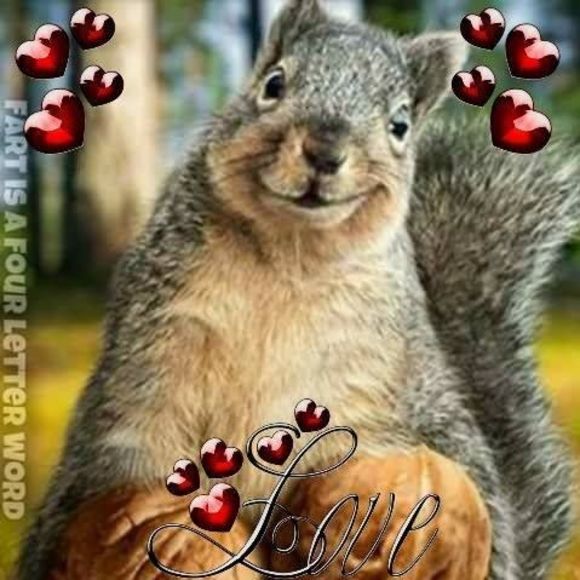 Meet your Posher, Paul - Picture 1 of 1